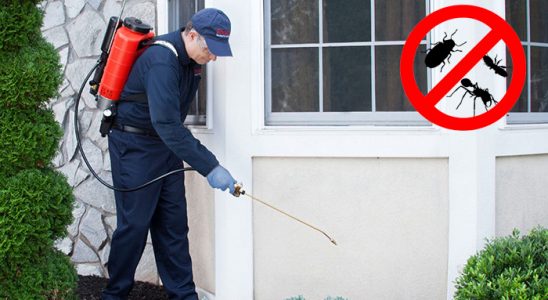 Gelendost Tahtakurusu İlaçlama böcek ilaçlama ve haşere kontrolü — ilaclama-tr.com